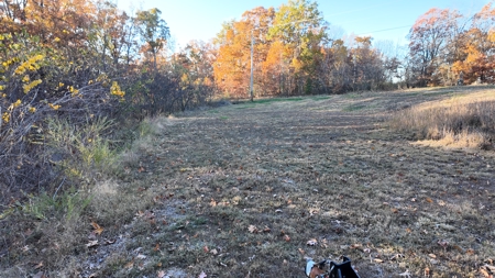 Land For sale in St. Clair County, Missouri - image 14