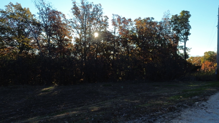 Land For sale in St. Clair County, Missouri - image 8