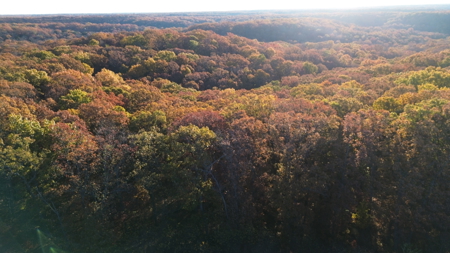 Land For sale in St. Clair County, Missouri - image 1