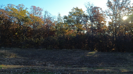 Land For sale in St. Clair County, Missouri - image 9