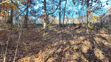 Land For sale in St. Clair County, Missouri - image 20