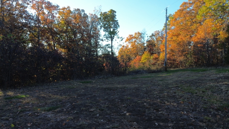 Land For sale in St. Clair County, Missouri - image 12