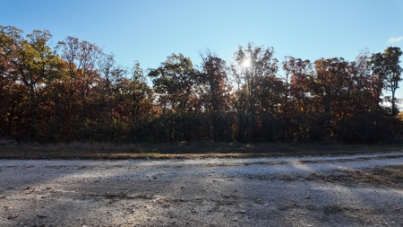Land For sale in St. Clair County, Missouri - image 26