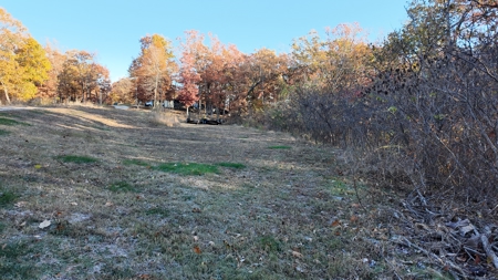 Land For sale in St. Clair County, Missouri - image 25