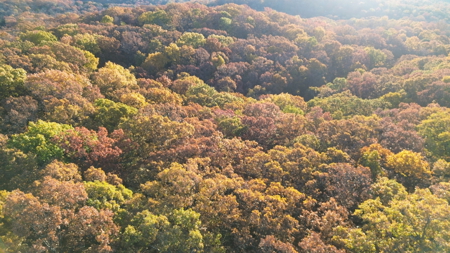 Land For sale in St. Clair County, Missouri - image 3