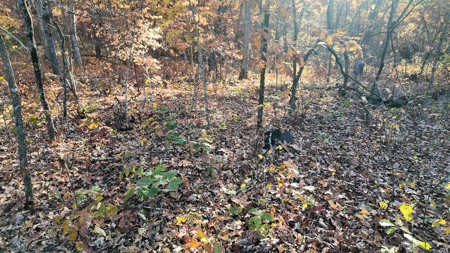 Land For sale in St. Clair County, Missouri - image 17