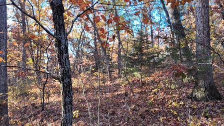 Land For sale in St. Clair County, Missouri - image 19