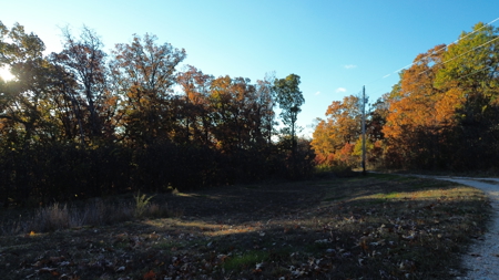 Land For sale in St. Clair County, Missouri - image 10