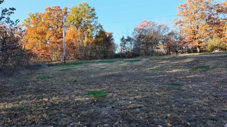 Land For sale in St. Clair County, Missouri - image 13