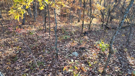Land For sale in St. Clair County, Missouri - image 16