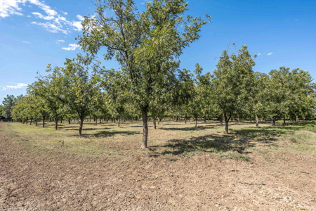 Equestrian Estate for Sale in Historic Mesilla, NM - image 38