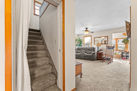 6.27-Acre Country Haven with 3 Bedroom Home - image 15