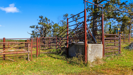 Southern Missouri Ranch for Sale - 243 Acres in Howell County - image 23