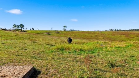 Southern Missouri Ranch for Sale - 243 Acres in Howell County - image 19