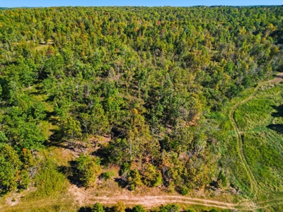 Southern Missouri Ranch for Sale - 243 Acres in Howell County - image 3