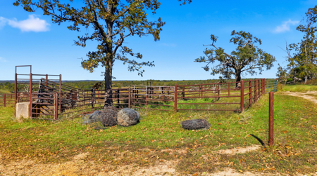 Southern Missouri Ranch for Sale - 243 Acres in Howell County - image 22