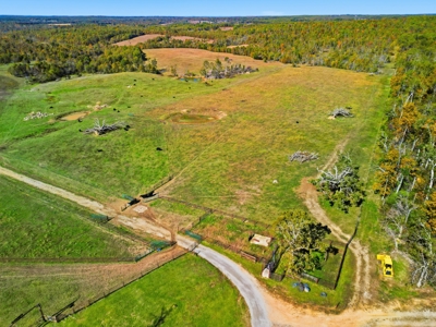 Southern Missouri Ranch for Sale - 243 Acres in Howell County - image 9
