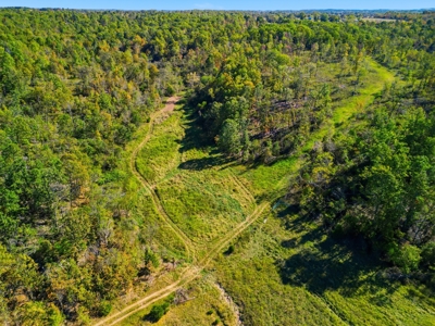 Southern Missouri Ranch for Sale - 243 Acres in Howell County - image 4