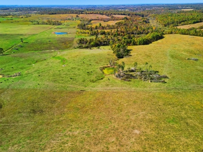 Southern Missouri Ranch for Sale - 243 Acres in Howell County - image 12