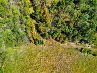 Southern Missouri Ranch for Sale - 243 Acres in Howell County - image 8