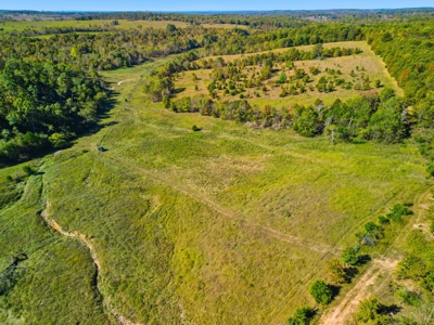 Southern Missouri Ranch for Sale - 243 Acres in Howell County - image 6