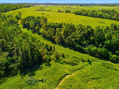 Southern Missouri Ranch for Sale - 243 Acres in Howell County - image 5