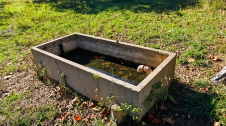 Southern Missouri Ranch for Sale - 243 Acres in Howell County - image 17