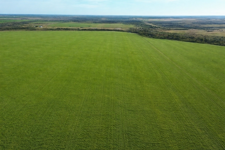 246 ac Farm/Ranch Land for sale Iowa Park, Texas - image 3