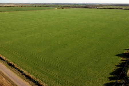246 ac Farm/Ranch Land for sale Iowa Park, Texas - image 4