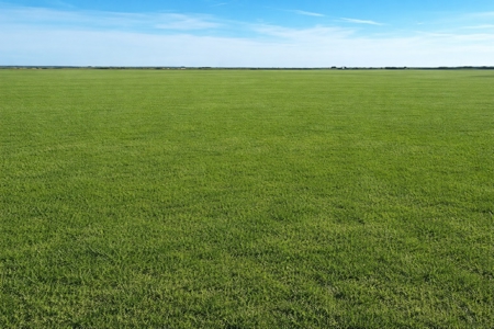 246 ac Farm/Ranch Land for sale Iowa Park, Texas - image 2