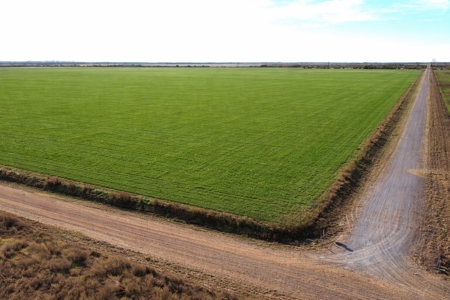 246 ac Farm/Ranch Land for sale Iowa Park, Texas - image 5