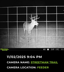 Stunning 2-Bed Home on 34.7 Acre Country Retreat Near Eldorado - image 46