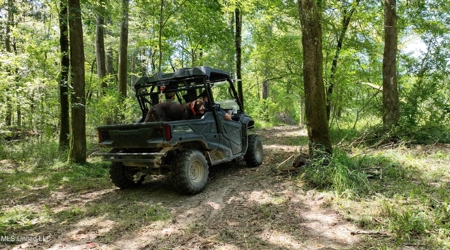 108+- Acres on the Bogue Chitto River Summit, Mississippi - image 19