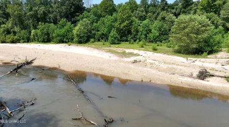 108+- Acres on the Bogue Chitto River Summit, Mississippi - image 16