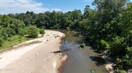 108+- Acres on the Bogue Chitto River Summit, Mississippi - image 2