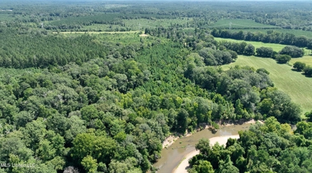 108+- Acres on the Bogue Chitto River Summit, Mississippi - image 7