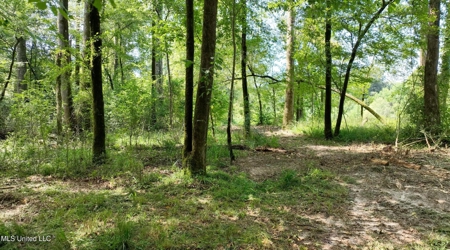 108+- Acres on the Bogue Chitto River Summit, Mississippi - image 20