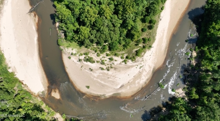108+- Acres on the Bogue Chitto River Summit, Mississippi - image 1
