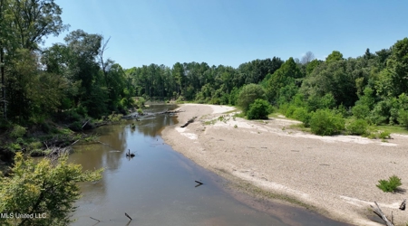 108+- Acres on the Bogue Chitto River Summit, Mississippi - image 6