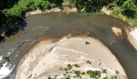108+- Acres on the Bogue Chitto River Summit, Mississippi - image 17