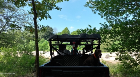 108+- Acres on the Bogue Chitto River Summit, Mississippi - image 18