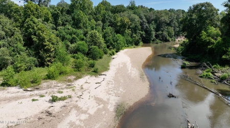 108+- Acres on the Bogue Chitto River Summit, Mississippi - image 15
