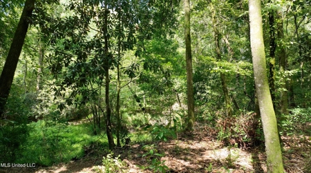 108+- Acres on the Bogue Chitto River Summit, Mississippi - image 10