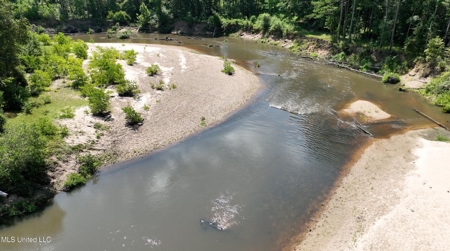 108+- Acres on the Bogue Chitto River Summit, Mississippi - image 12