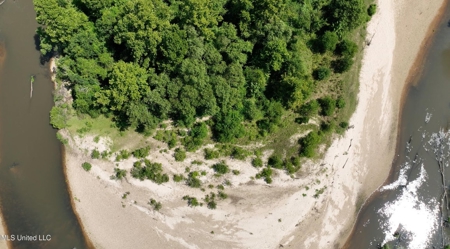 108+- Acres on the Bogue Chitto River Summit, Mississippi - image 4