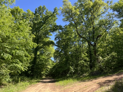 Mountain Land for Sale in Southeastern Oklahoma - image 1