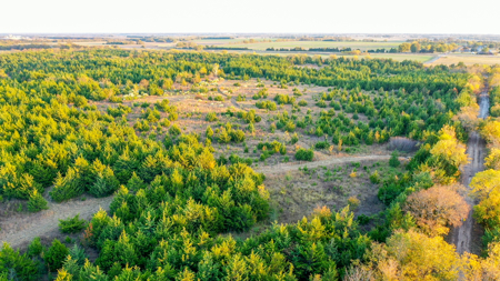 Lamar County Acreage for Sale Paris Tx - image 14