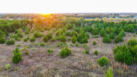 Lamar County Acreage for Sale Paris Tx - image 35