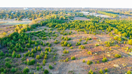 Lamar County Acreage for Sale Paris Tx - image 17