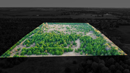 Lamar County Acreage for Sale Paris Tx - image 3